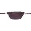 TsAstrid bumbag