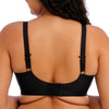 ELOMI - ENERGISE SPORTS BH