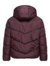 CarClair - Kort Puffer Jakke - Fudge