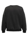 CARLUCINDA L/S VINGER O-HALS SWT