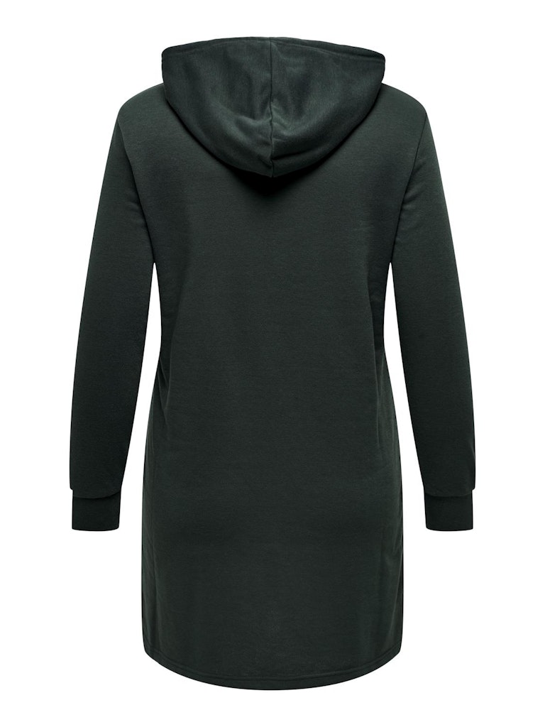 CARSIV L/S HOOD TUNIC SWEAT DRESS