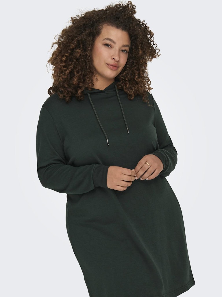 CARSIV L/S HOOD TUNIC SWEAT DRESS