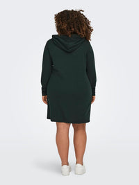 CARSIV L/S HOOD TUNIC SWEAT DRESS