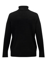 CARFIA LS ROLLNECK