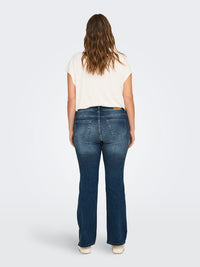 CARWILLY HW FLARED DENIM