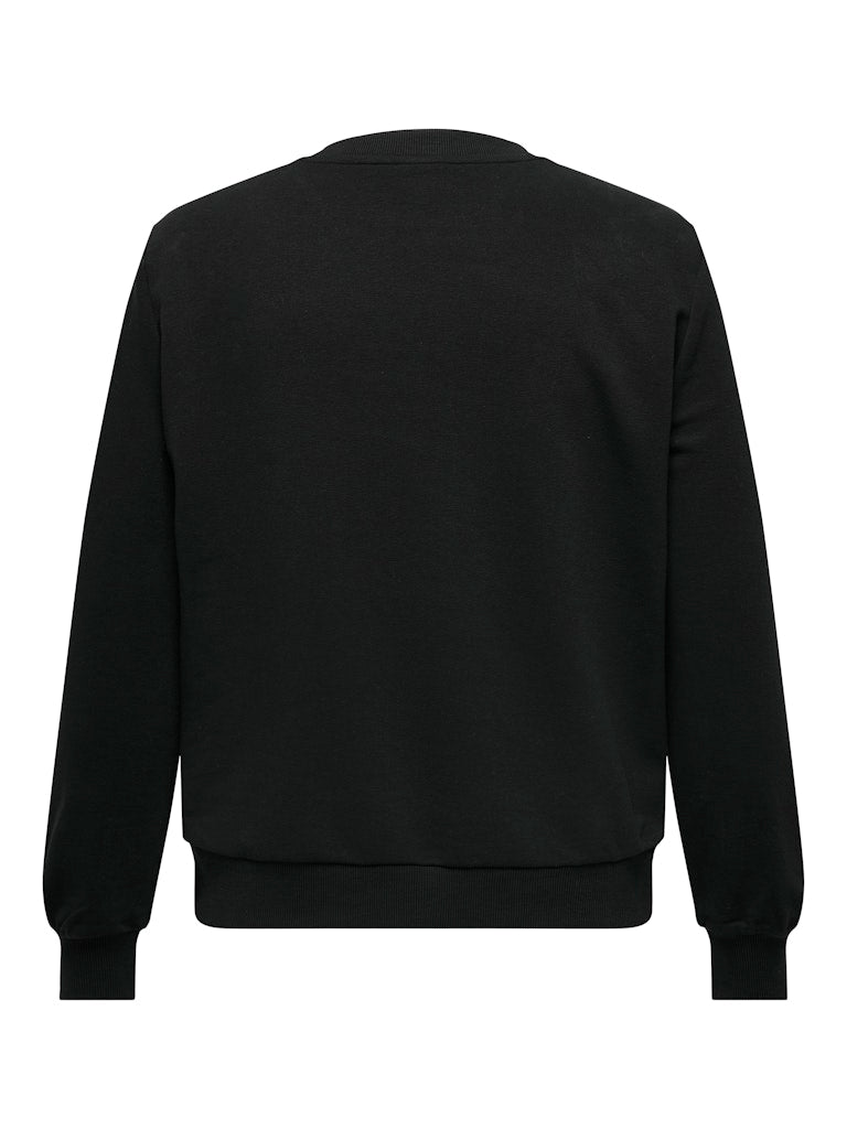 CARRUNA L/S O-NECK SWEAT