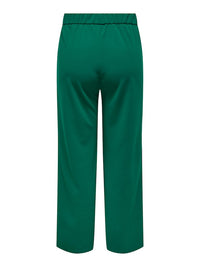 CARSANIA BUTTON PANT JRS PNT