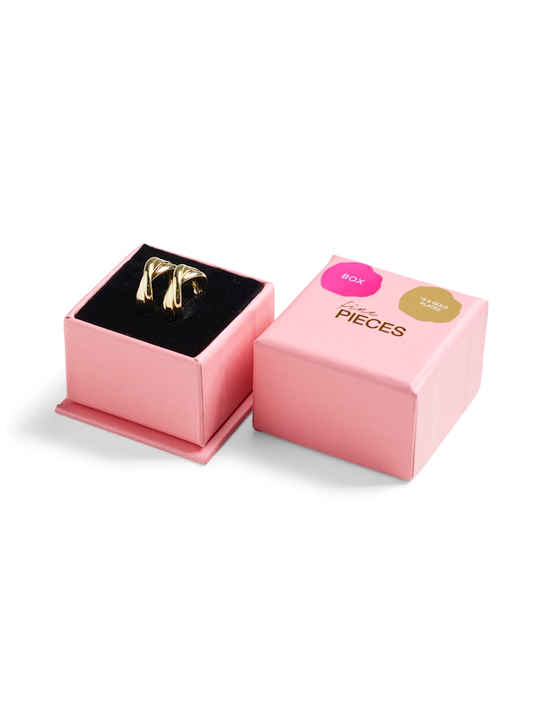 FPNUTJA EARRINGS PLATED BOX