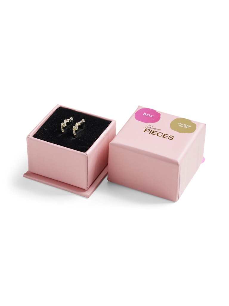 FPNUTJA EARRINGS PLATED BOX