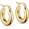 TsKarin Earring
