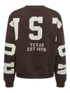 Carsweat Langærmet Back Sleeve Print Sweatshirt