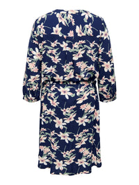 CarAnita Denizia Shirt Dress-Pluspige